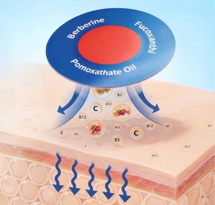 Purisaki Berberine transdermal patch box and patches